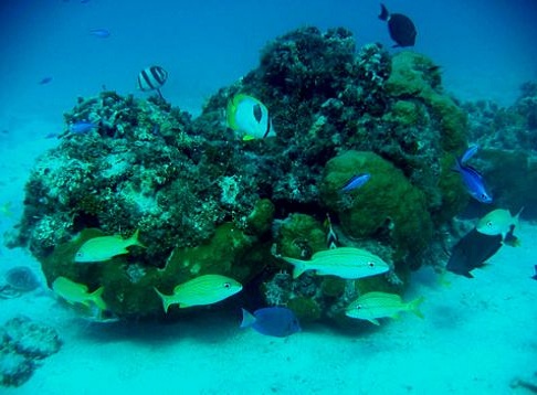 bayahibe, saona, dorpje